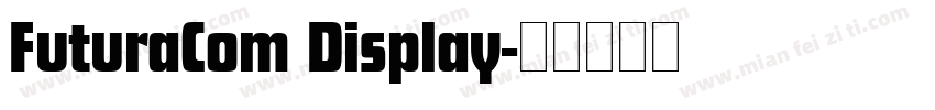 FuturaCom Display字体转换